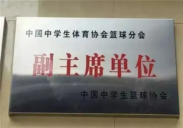 为什么反馈对篮球运动员的发展至关重要_2